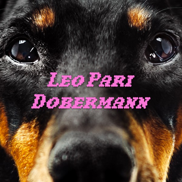 "Dobermann" è il nuovo singolo di Leo Pari